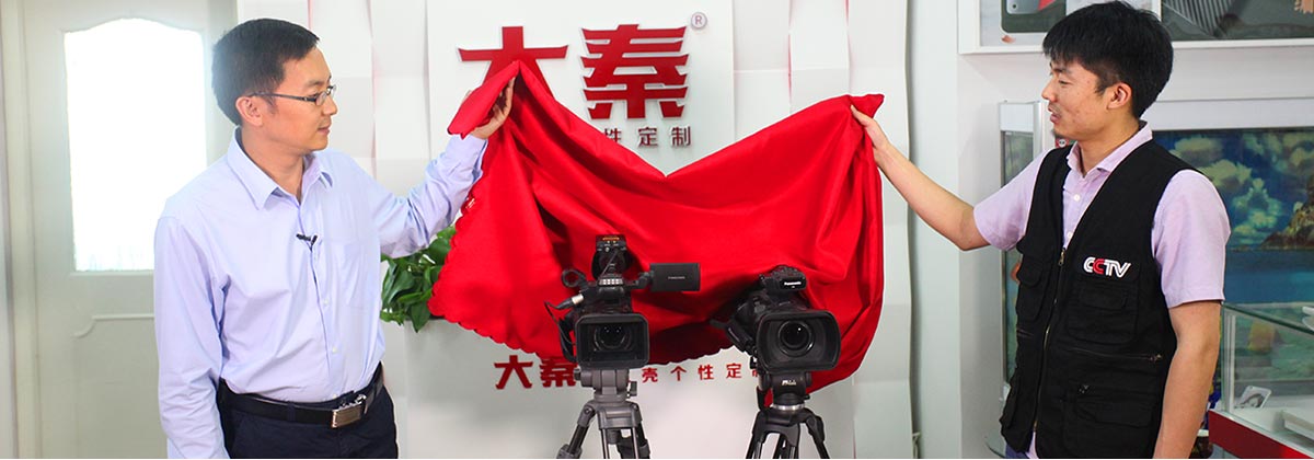 大秦手机壳定制